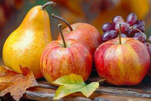 Autumn still life with apples and pears. Harvest, healthy food. photo