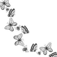 frame, postcard with butterflies and bumblebee. Hand painted linear insect. Graphic clipart isolated on background. Botanical and wedding illustration. For designers, invitations, dec vector