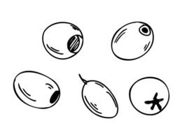 Olives set isolated on white background. hand drawn illustration, linear Sketch. Can be used for menu, product package and food design vector