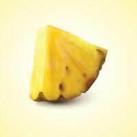 illustration of pineapple with two slices. vector