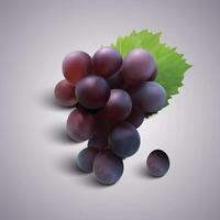 realistic illustration of a bunch of grapes on a transparent background. vector