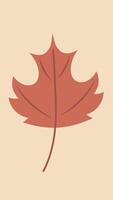 Beautiful autumn leaves of different colours and different trees change their shape and colour. Vertical 4K . Autumn animation with cute cosy design elements. video