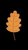 Cute autumn leaves of different colours and different trees change their shape and colour. Alpha channel. Vertical 4K . Autumn animation with cute cosy design elements. video