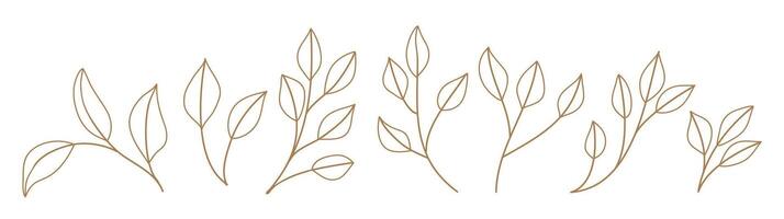 Set monochrome simple leaves botanical branches with stem and foliage illustration vector