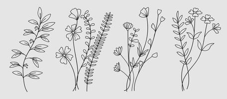 Hand drawn botanical art continuous line drawing of abstract flower, floral, rose, tropical leaves, spring and autumn leaf collection. vector