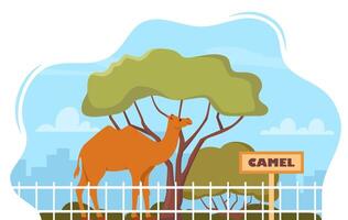 Camel on territory of wildlife zoo park surrounded by fence. illustration. vector