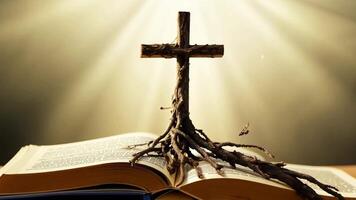 Cross with intertwined roots in the open bible It symbolizes our deep spiritual roots and eternal connection to the teachings of Christianity. video