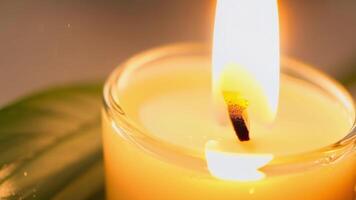 A few drops of fragrant coconut oil dripping onto a small candle adding a tropical scent to the room.. video