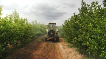 Spraying with fertilizers in the garden with a tractor video