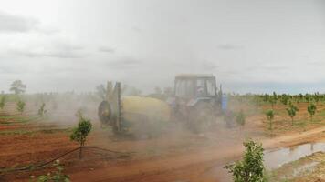 Spraying with fertilizers in the garden with a tractor video