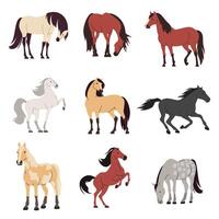 Set of flat illustrations on white background. Horses of different colors and breeds vector