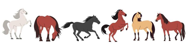 Set of flat illustrations on white background. Horses of different colors and breeds vector