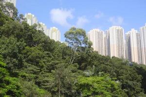 Crowded Hong Kong flats and buildings in residential estate above the mountain photo