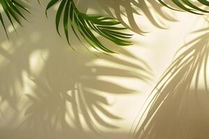 Tropical palm leaves foliage with sunlight shadows on light cream wall. Minimalistic abstract beautiful blurred summer or spring background mockup for product presentation. photo