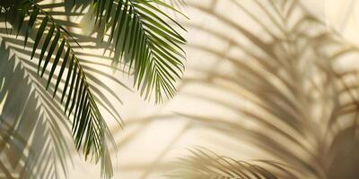 Tropical palm leaves foliage with sunlight shadows on light cream wall. Minimalistic abstract beautiful blurred summer or spring background mockup for product presentation. photo