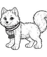 arctic fox drawing Coloring book page vector