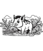 boar drawing Coloring book page vector