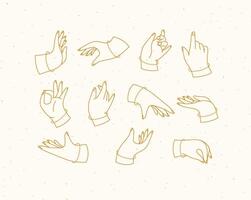 Set of renaissance hands with fingers icons in different positions drawing on beige background vector