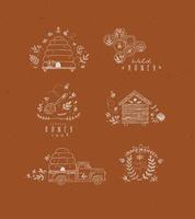 Honey collection of labels, beehive, honeycomb, spoon with flower and branches drawing in graphic style on terracotta background vector