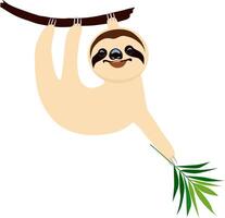 Cartoon sloth hangs on a tree branch. vector