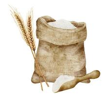 Sack of Flour with Scoop and Spikelets watercolor illustration. Drawing of burlap bag whole of cereal grain on isolated background. Ingredient for pastry and bakery. Sketch for product label vector