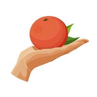 Freshly and healthy red grapefruit in the palm of the hand isolated on white background. illustration in flat style with tropical fruit. Clipart for card, banner, flyer, poster design vector
