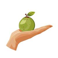 Freshly and healthy green guava in the palm of the hand isolated on white background. illustration in flat style with tropical fruit. Clipart for card, banner, flyer, poster design vector