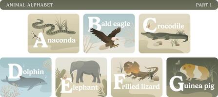 Animal alphabet colorful card set. Educational English learning illustrations. ABC with wild animals, nature, letters and flora elements. Part 1. vector