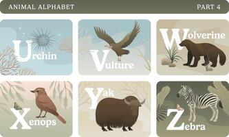 Animal alphabet colorful card set. Educational English learning illustrations. ABC with wild animals, nature, letters and flora elements. Part 4. vector