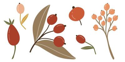 Berries of different shapes and colors with branches and leaves. illustration in flat style. Elements for autumn design for harvest festival, food. Fruits of berries of red and peach color. vector