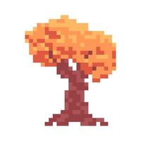 autumn tree pixel art vector