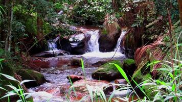 Clear river waters flow from the mountains to form small waterfalls between the rocks video