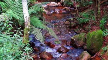 Clear river waters flow from the mountains to form small waterfalls between the rocks video