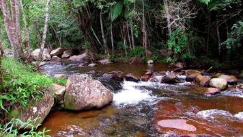 Clear river waters flow from the mountains to form small waterfalls between the rocks video