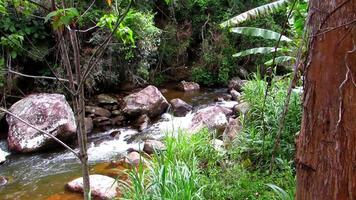 Clear river waters flow from the mountains to form small waterfalls between the rocks video