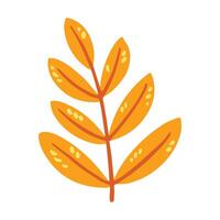 Hand drawn Flower and leaf illustration isolated on a white vector
