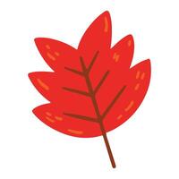 Hand drawn Flower and leaf illustration isolated on white vector