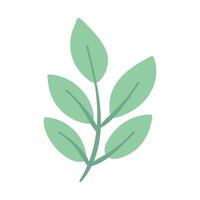 Hand drawn Flower and leaf illustration on a white background vector