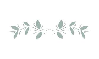 Dividers with floral elements on white background vector
