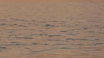Tranquil Water Reflection at Sunset video