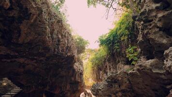 Serene Rocky Canyon with Lush Greenery video