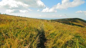 Back view on a grassy path, with mountains in the background. video