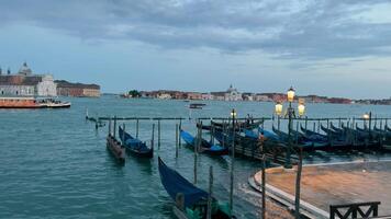 Venice, Italy 03.08.2024 Gondolas docked at Venice lagoon during twilight, A tranquil evening scene in Venice, with gondolas docked at the edge of the lagoon as twilight descends video