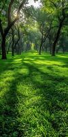 Lush green park with tall trees and vibrant lawn during golden hour photo