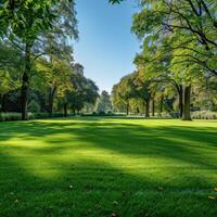Lush green park with manicured lawn and trees on a sunny day photo
