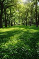Lush green park with vibrant lawn and tall trees under sunlight photo