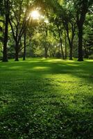 Lush green park with vibrant lawn and sunlight filtering through trees photo
