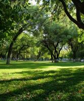 Lush green park with expansive lawns and scattered trees photo