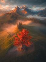 Misty autumn landscape featuring vibrant tree in mountain setting photo