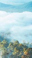 Misty autumn landscape in mountainous forest during early morning photo